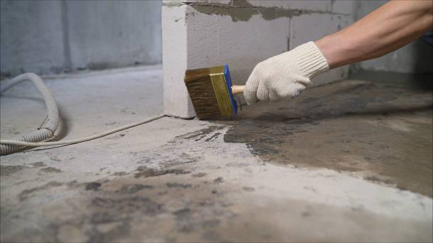24/7 Emergency Crawl Space Encapsulation experts in Kenton, TN